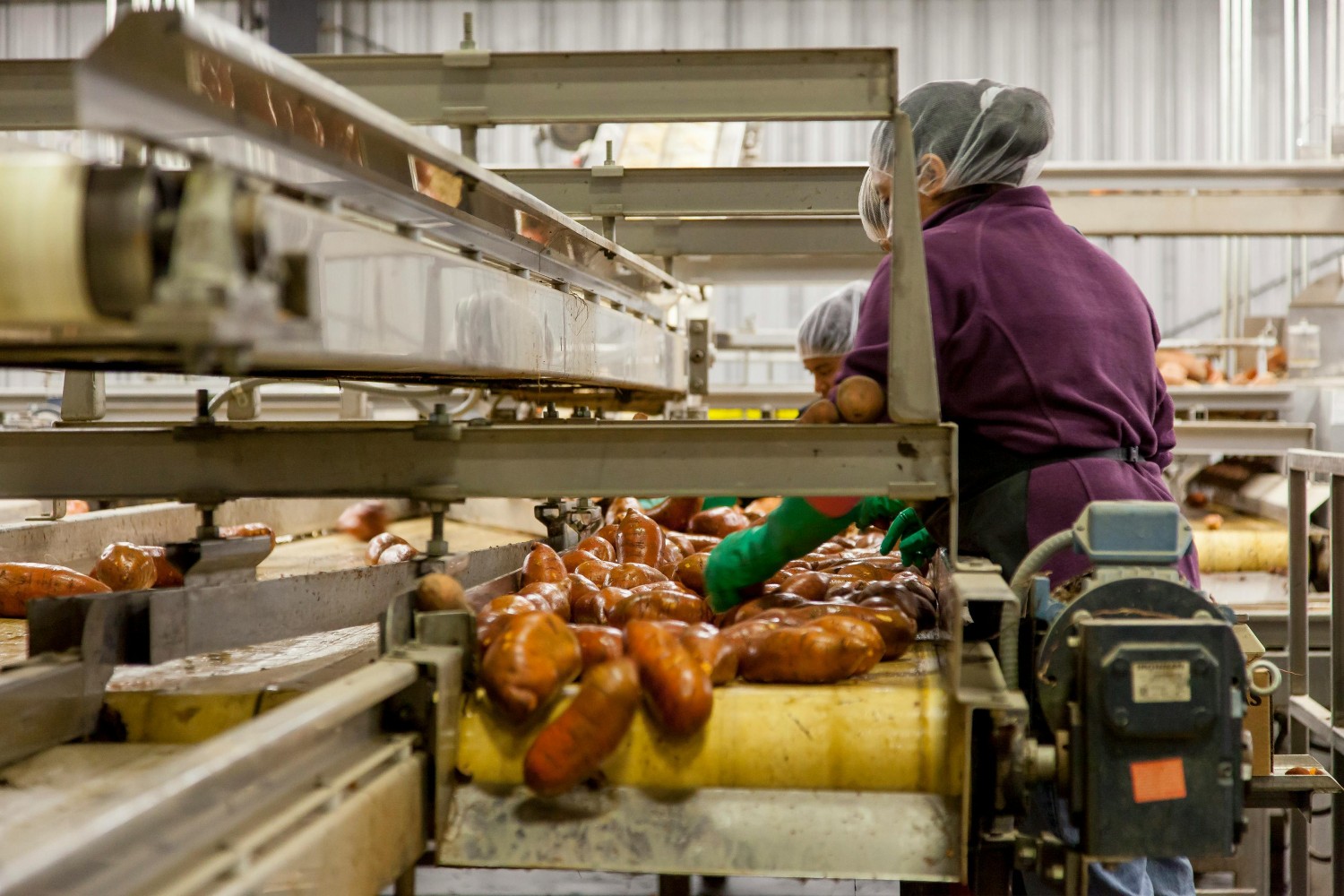 Food Processing